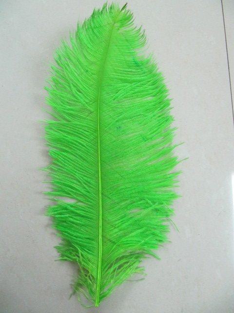 free shipping 18-20inch ostrich feather