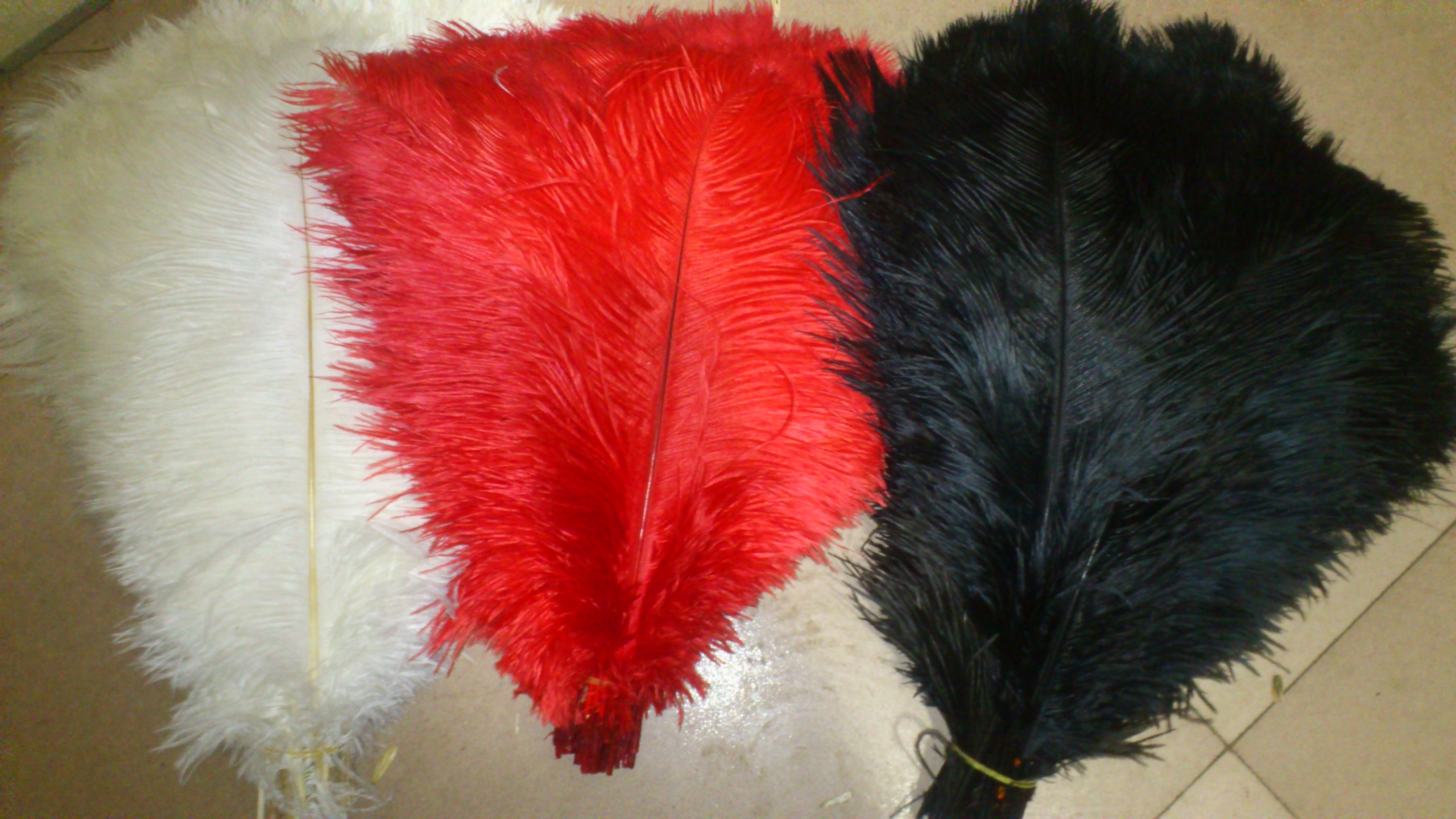 red and black ostrich feathers