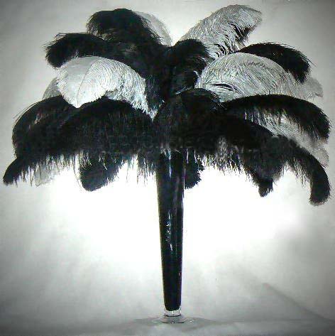 black ostrich plume feathers